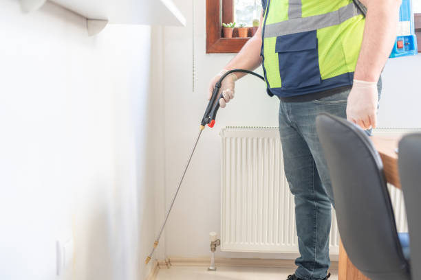 Trusted Erwin, NC Pest Control Experts